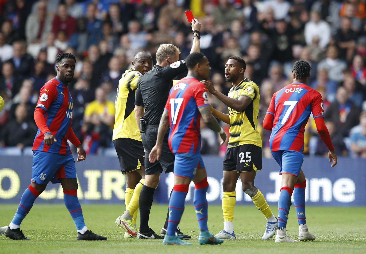 新的可能 新的可能